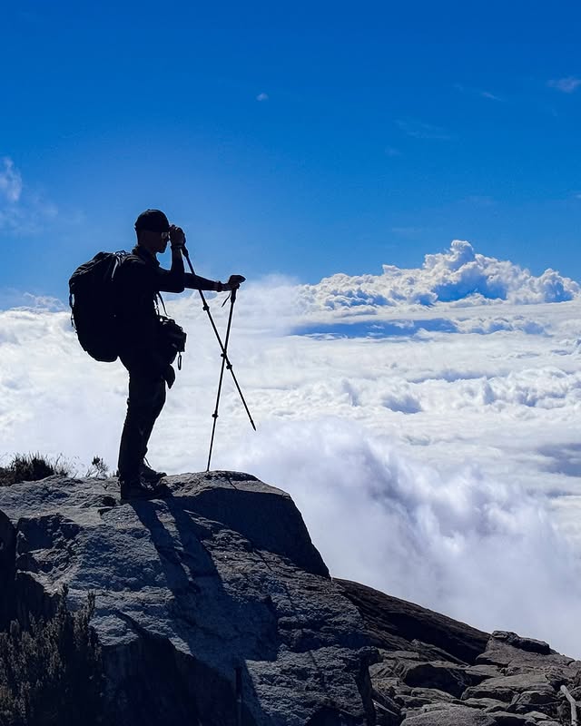 BKI 🍉 tweet media