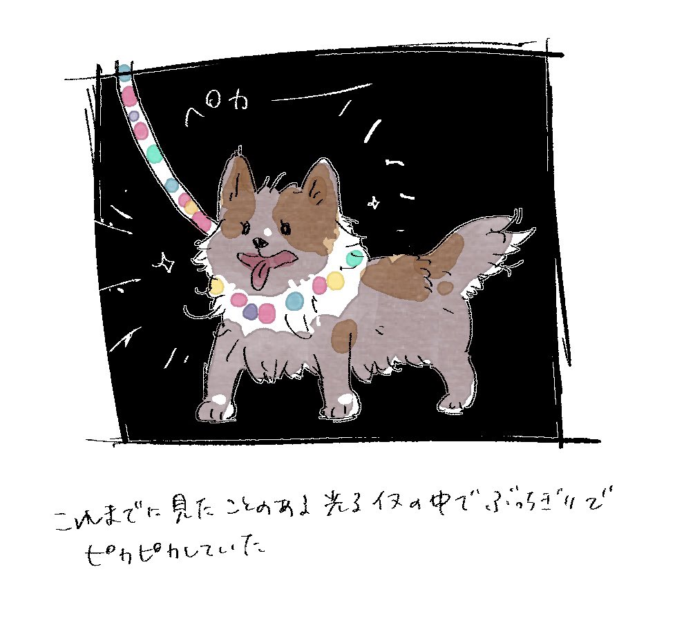 ずんだ🍩 tweet media