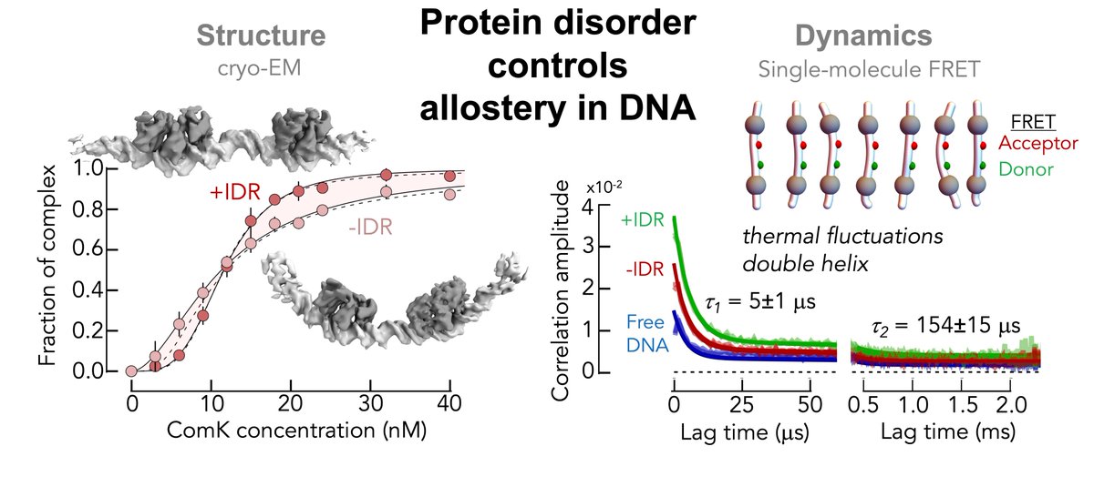 Hagen Hofmann 🎗️🇮🇱 tweet media