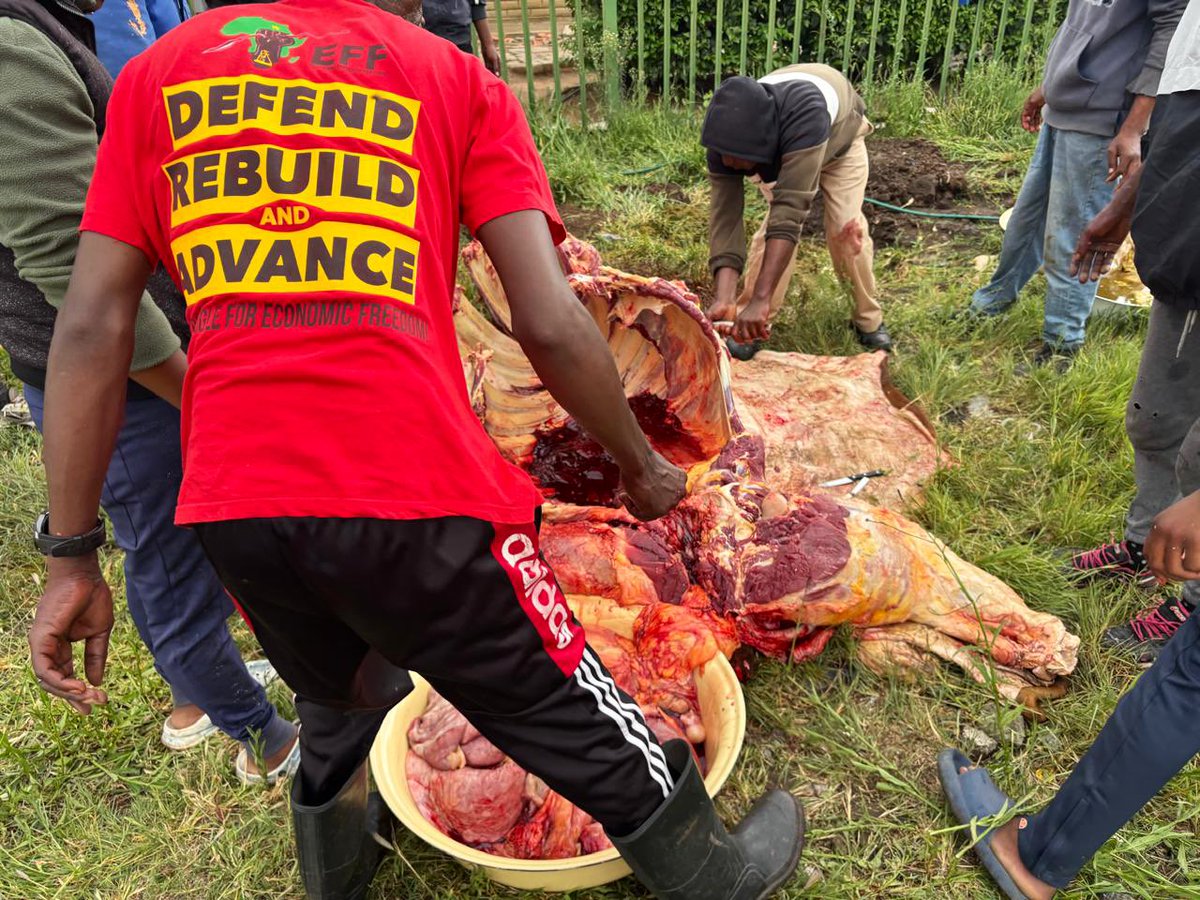 EFF Free State tweet media