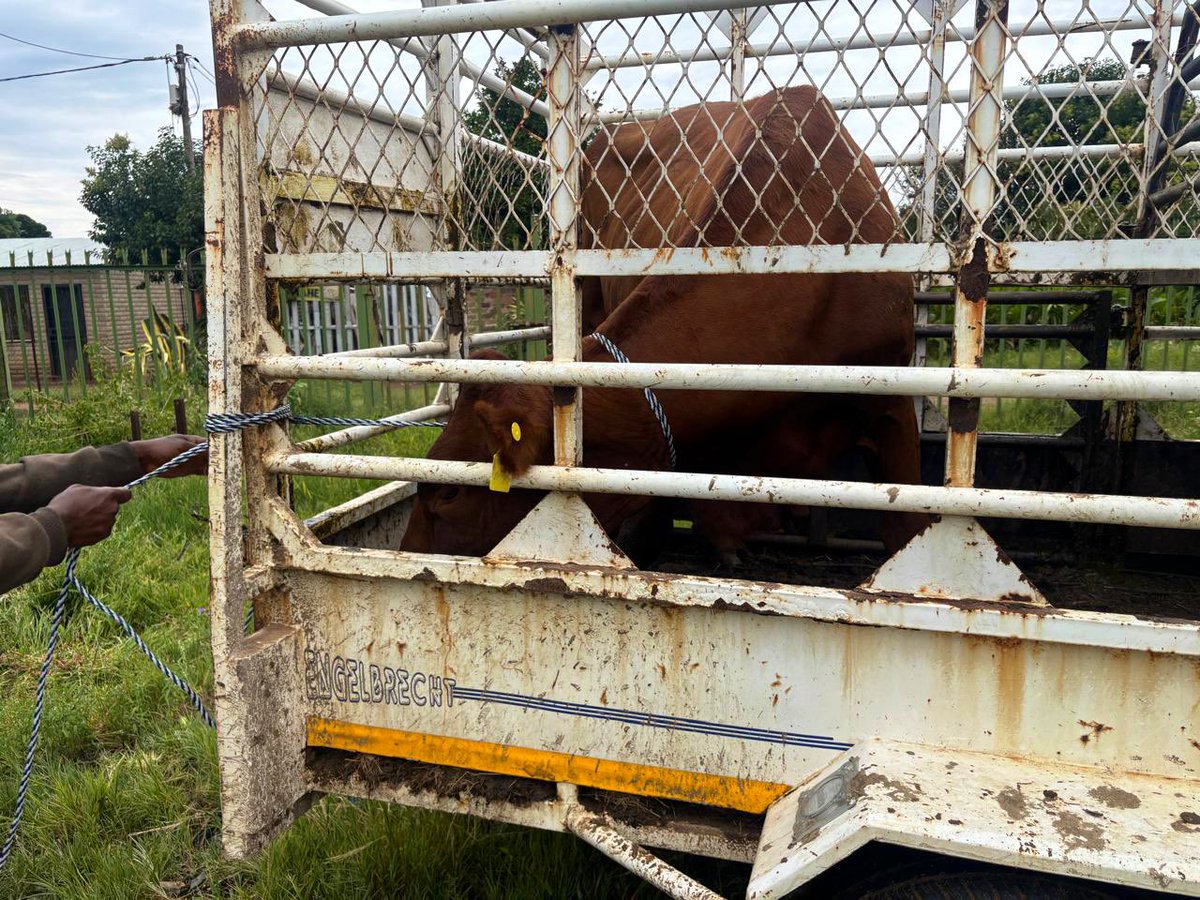 EFF Free State tweet media