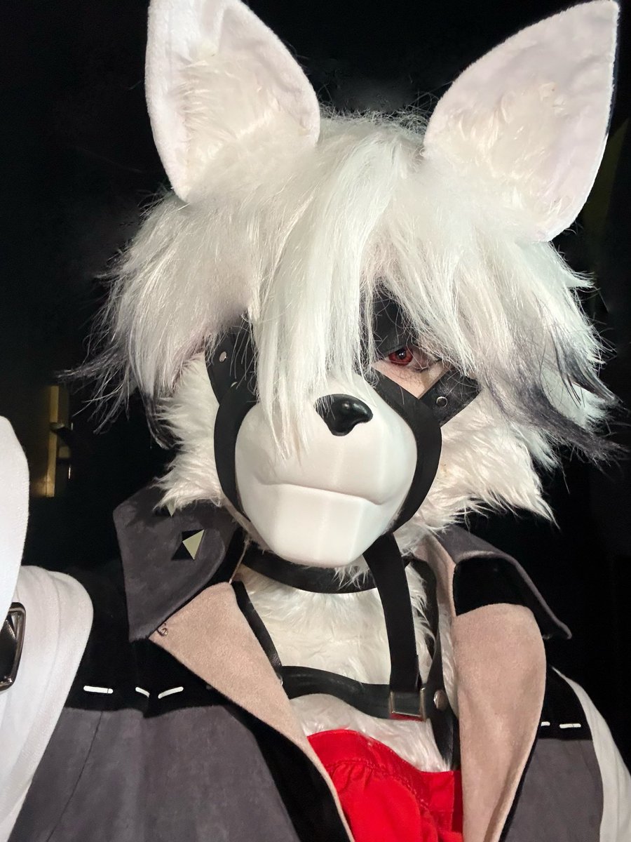 りんご撮ります tweet media