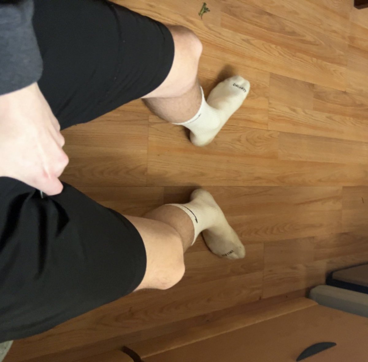 👑 Master T (Bi, 7.5 in, US13) tweet media