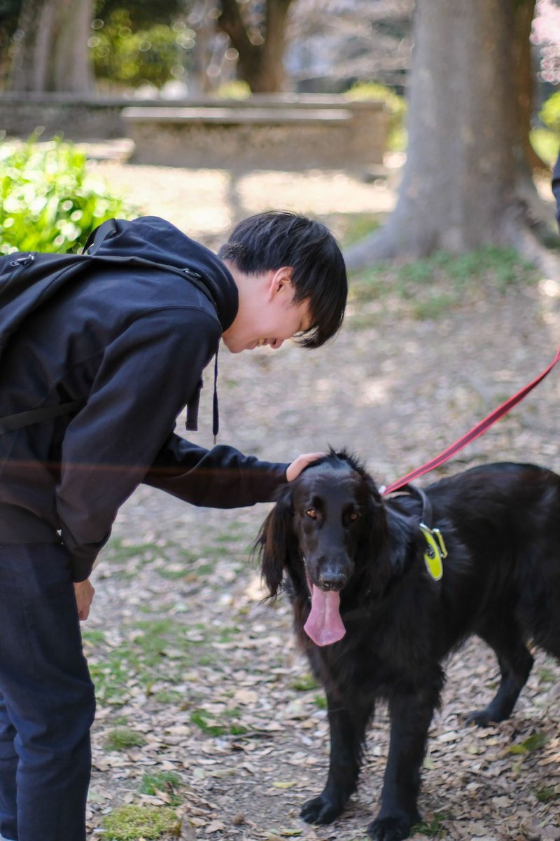 Y6z YO-YO GRAND PRIX 2026 tweet media