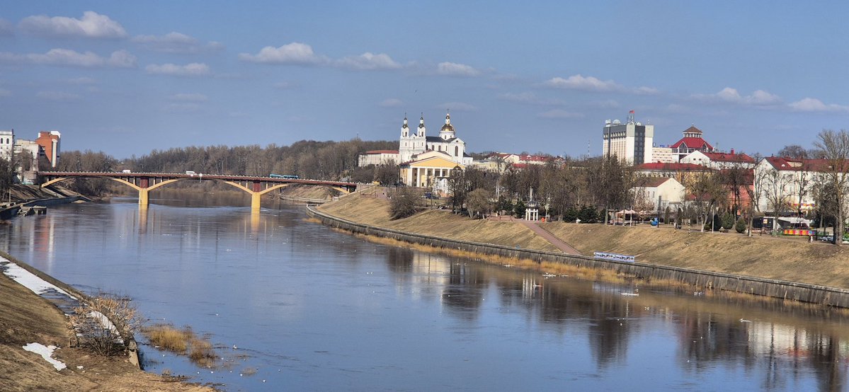 Vadim ☮️🥔🦬 tweet media