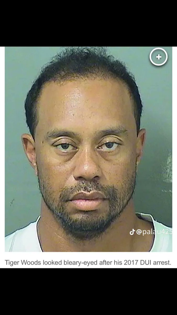 Just your average MAGA patriot tweet media