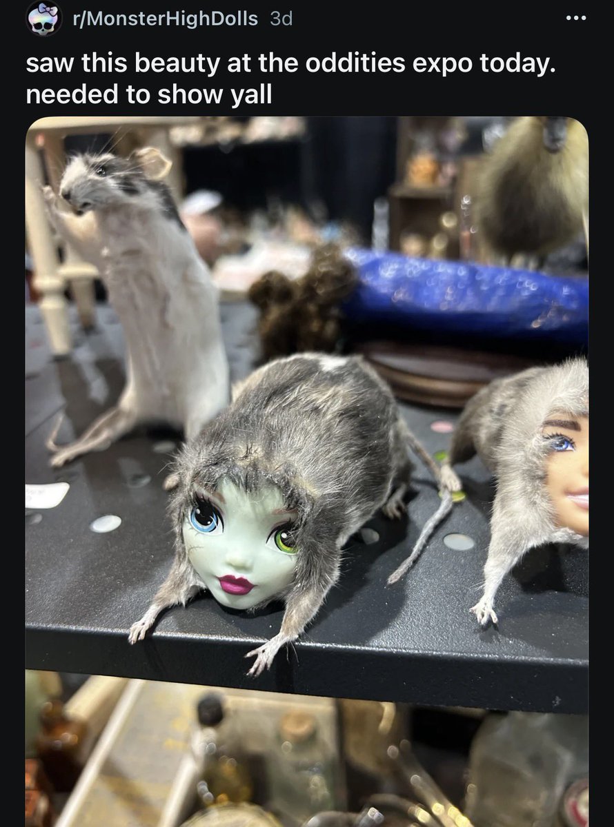 frankie steins gay uncle tweet media