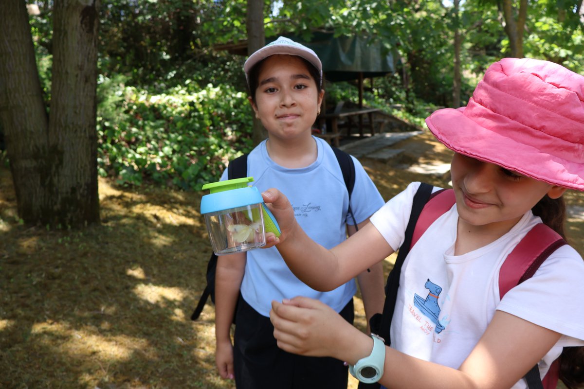 Interreg TESIM NEXT tweet media