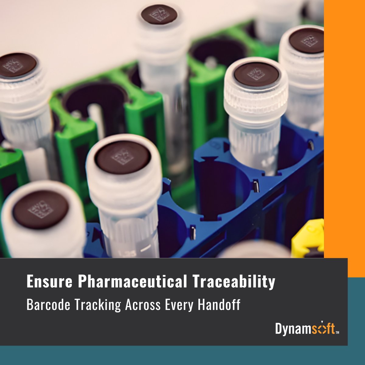 Dynamsoft tweet media