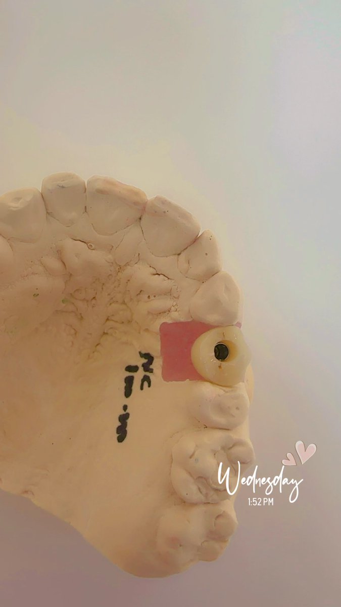 طبيبة إماراتية🇦🇪 tweet media