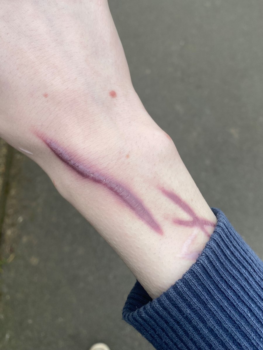 laila // shtwt tweet media