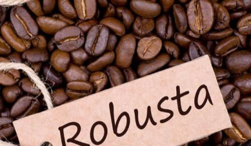 Investir au Cameroun tweet media