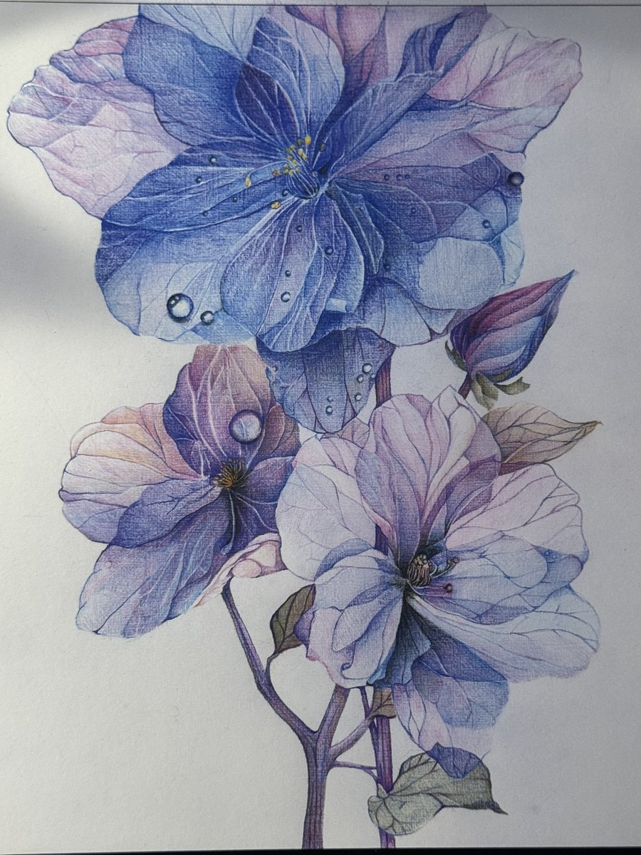 asdfghjkl i actually did it🥹😭💓