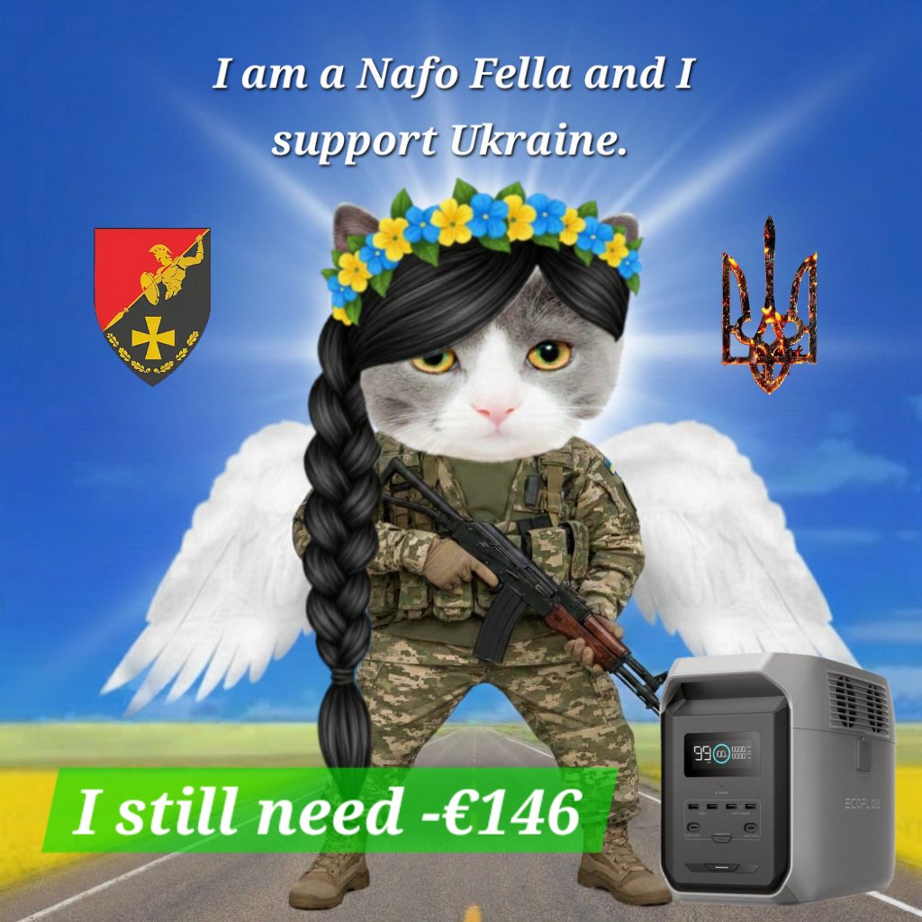 💙💛🌻Reni1977🇩🇪kämpft für die 🇺🇦✊️ tweet media