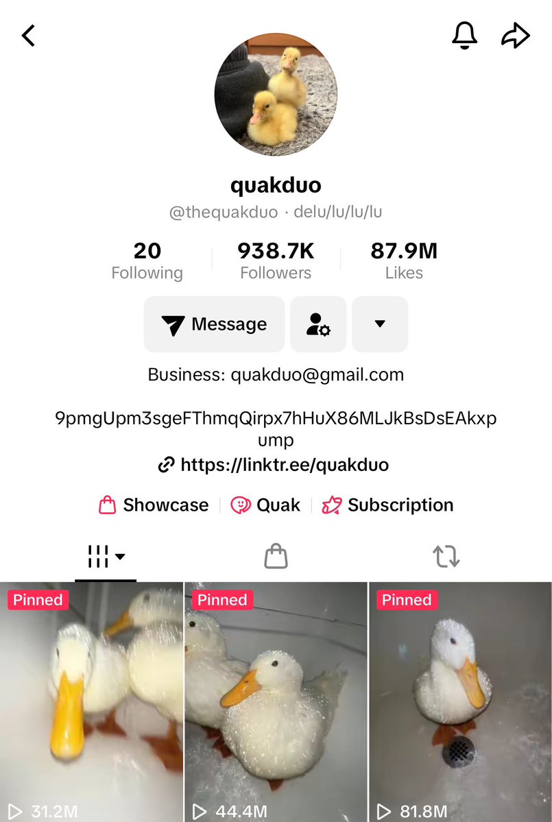 BasusTheDev tweet media