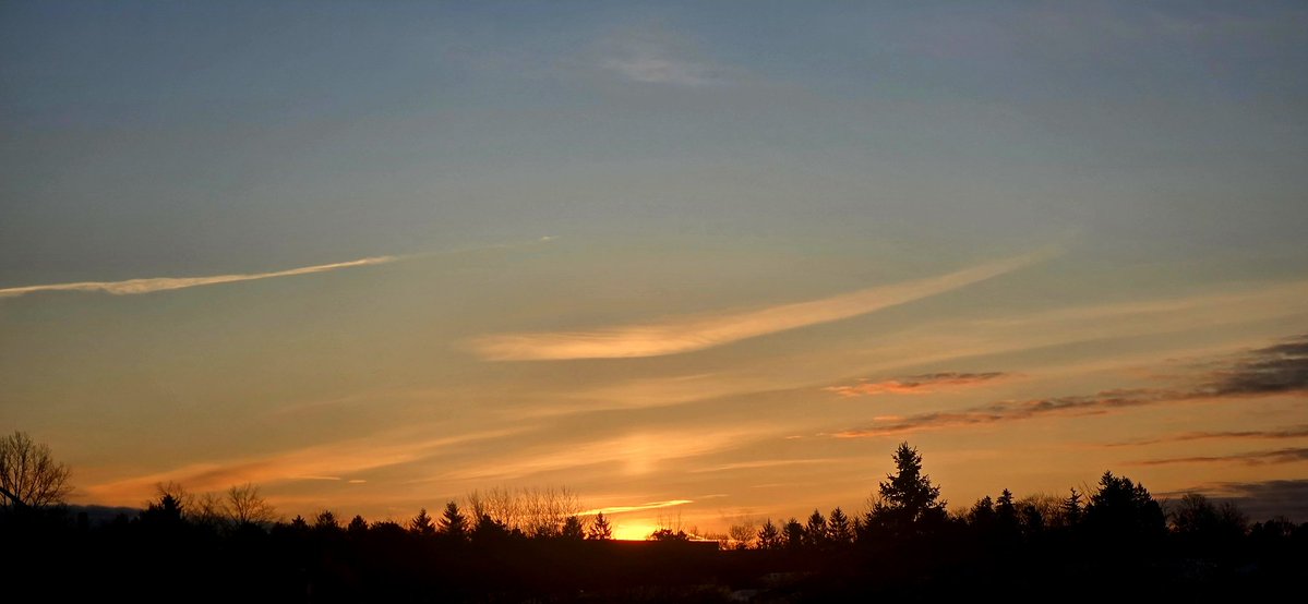 Allan Thompson tweet media