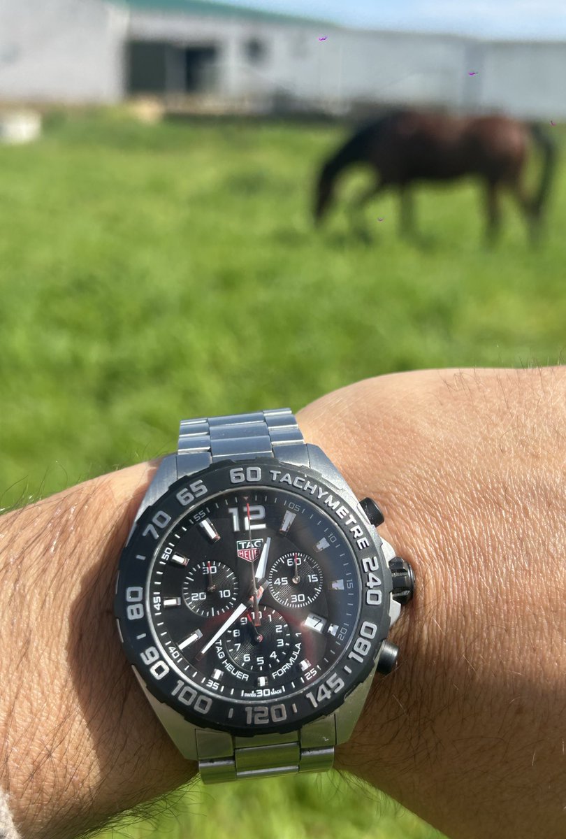 Jack XRParrow 🏴‍☠️ 🇵🇹 tweet media