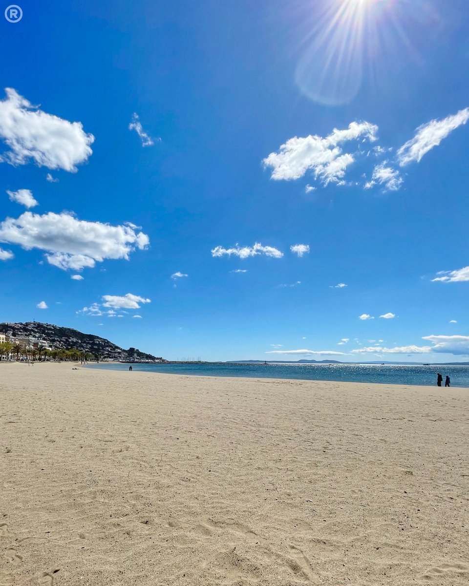 Visit Roses tweet media