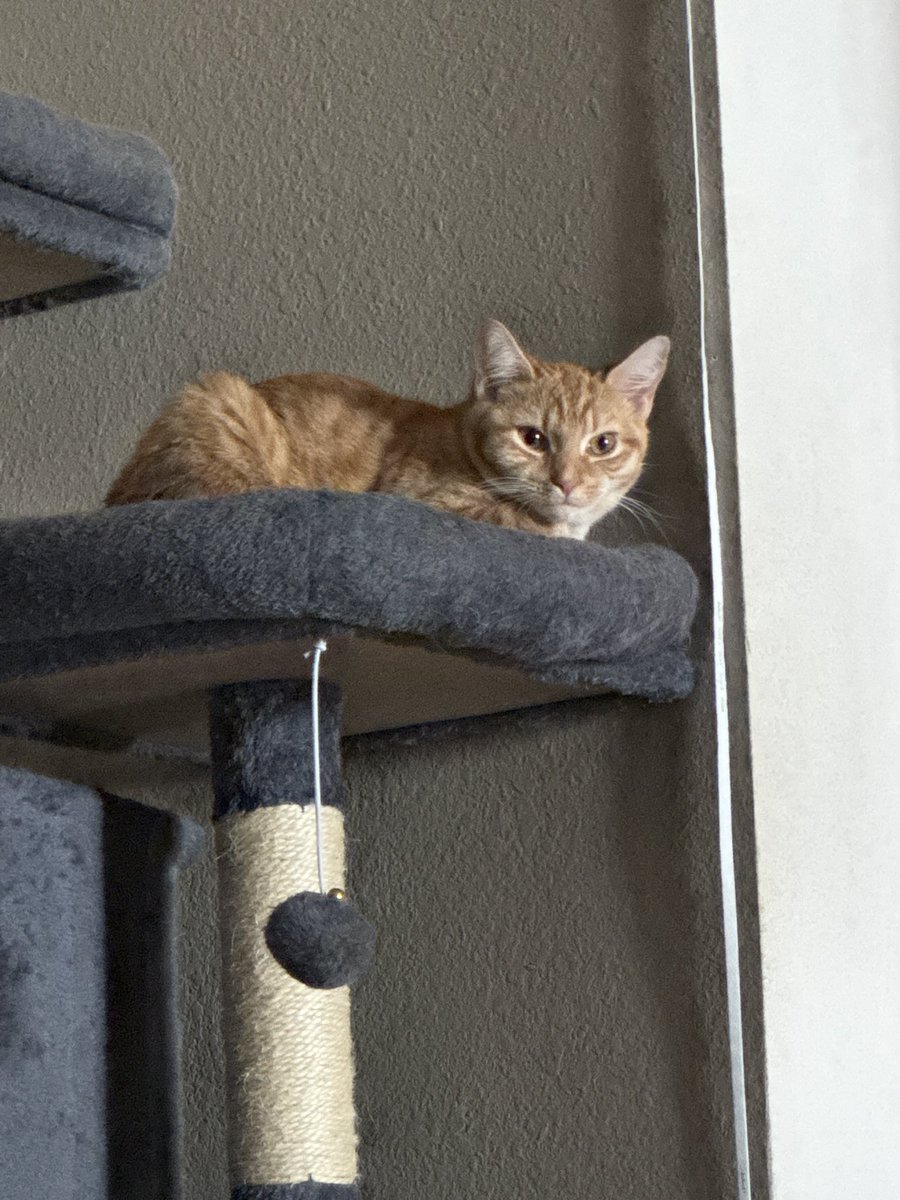 Sully 🧪🧬 tweet media