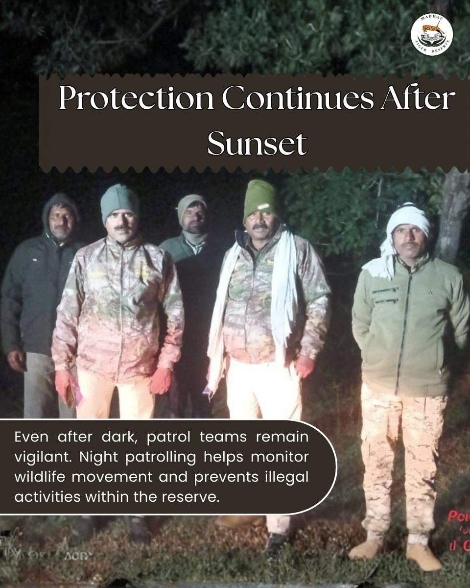 Madhav Tiger Reserve tweet media