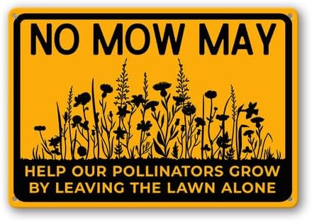 Need to re-wild  my garden, insects have declined. . Grass is useless, especially pollinators. Lincolnshire has inadequate diversity with synthetic fertiliser, herbicides and insecticide.  Nature is a cure all, once you realise its benefits. Enjoy its bounty
