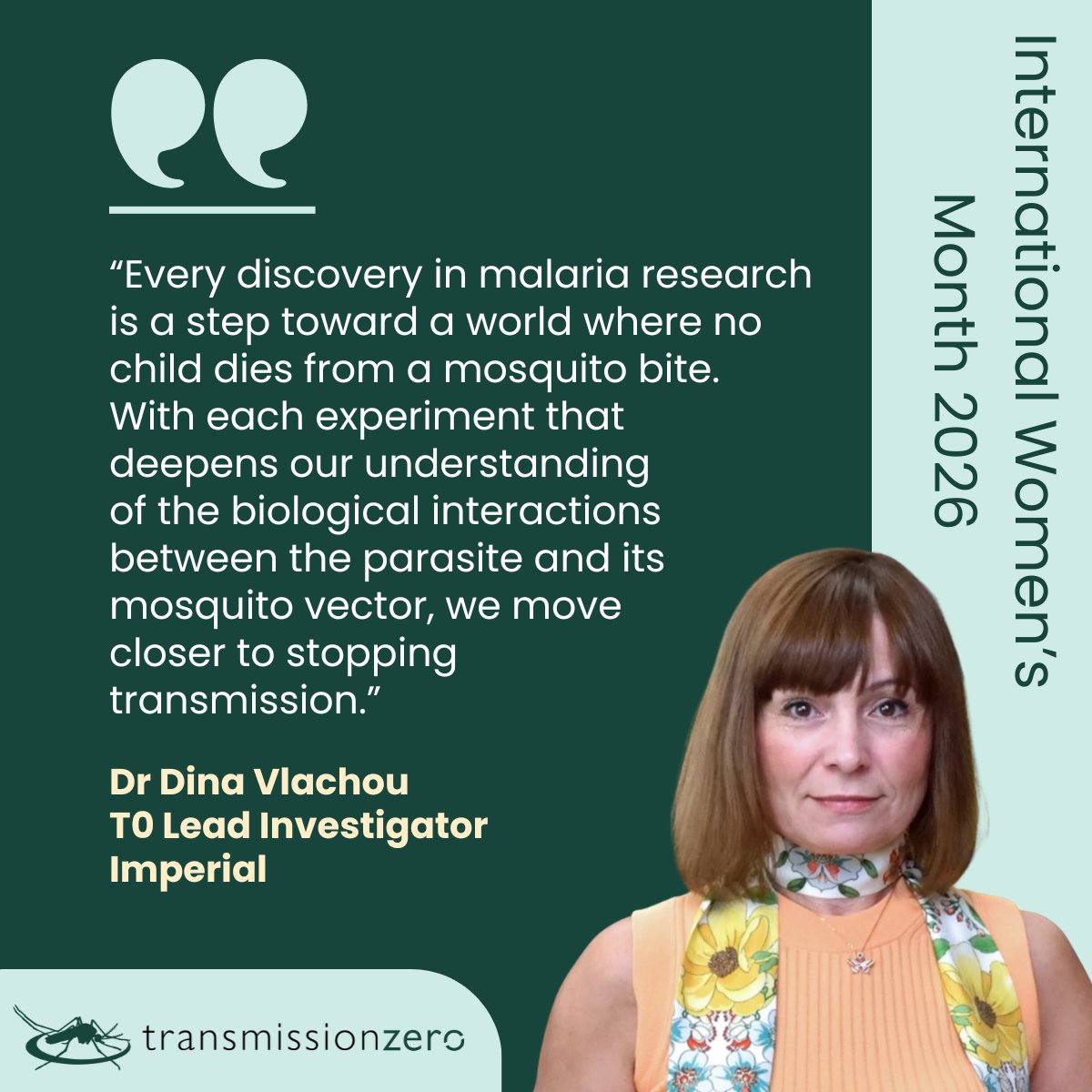 transmissionzero tweet media