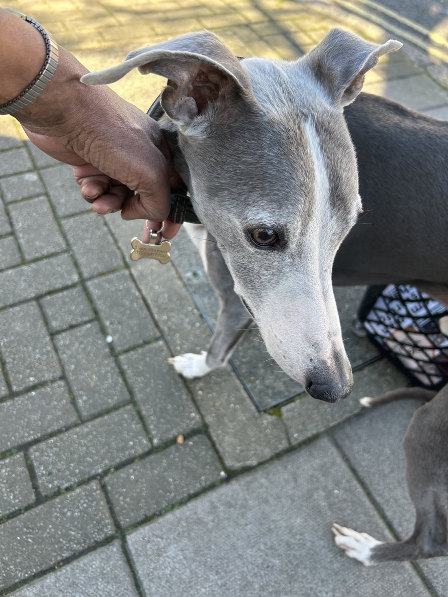 Simply The Best tweet media