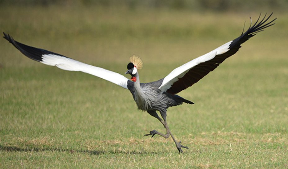 EU-Startups tweet media