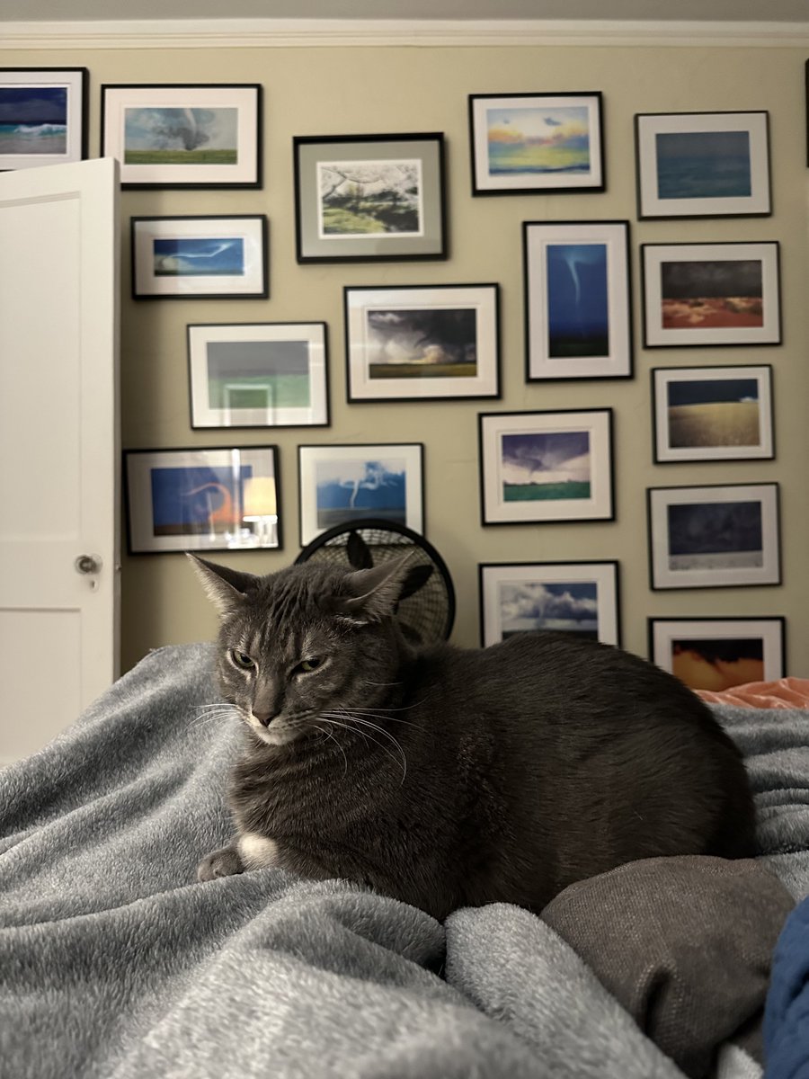 Patrick Skinner tweet media