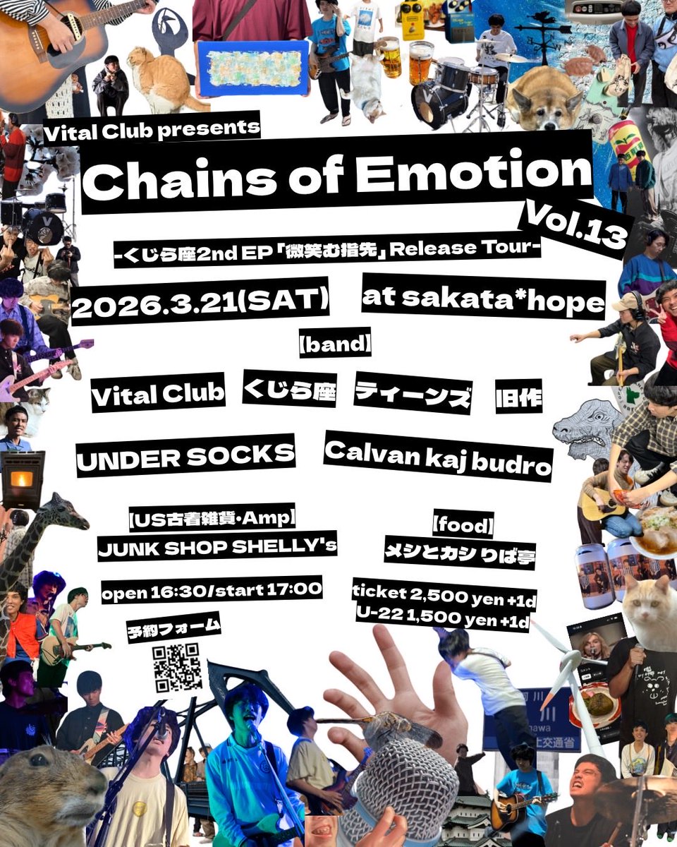 UNDER SOCKS tweet media