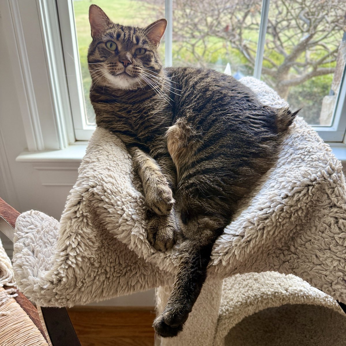 For the love of Missy. tweet media