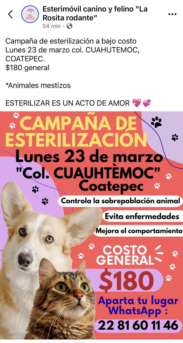 ANGIE COLUNGA tweet media