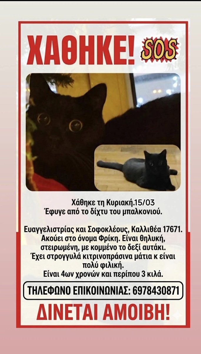 εφη απλα tweet media