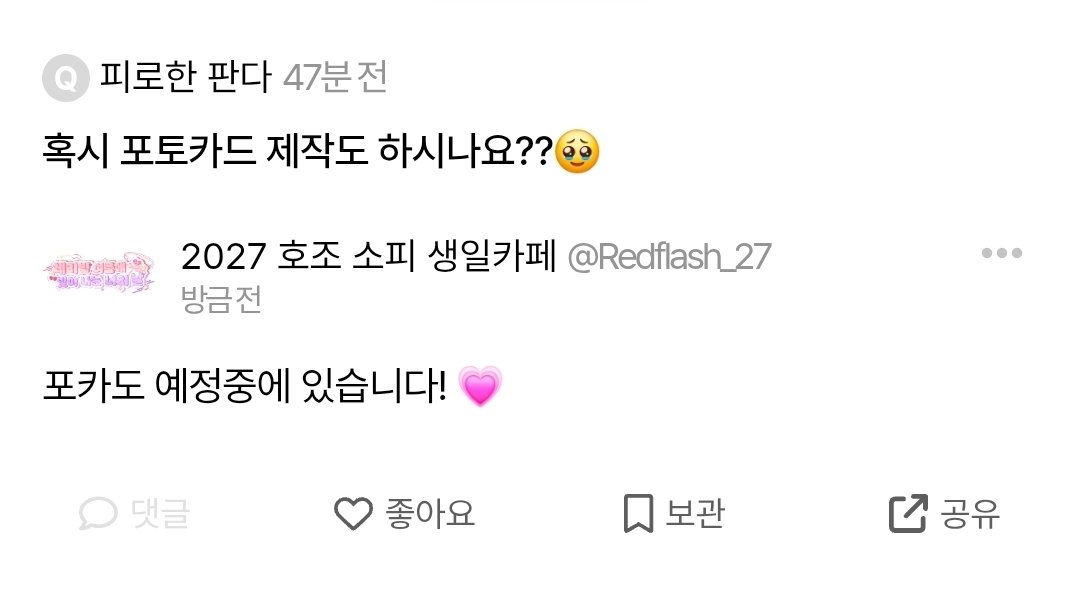 2027 호조 소피 생일카페 tweet media