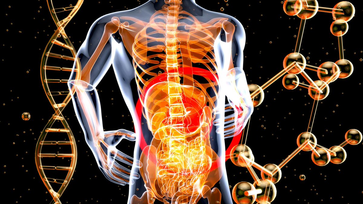 WellHumans's tweet photo. Functional Nutrition &amp; Trauma-Informed Gut Health | Well Humans https://t.co/OdLPQl9B7G https://t.co/6Tv9duObue