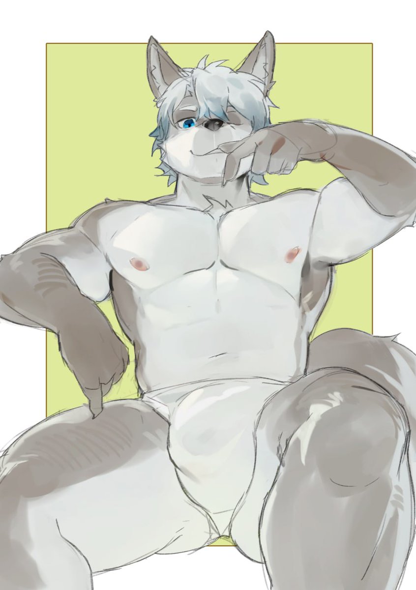 Zirgadze tweet media