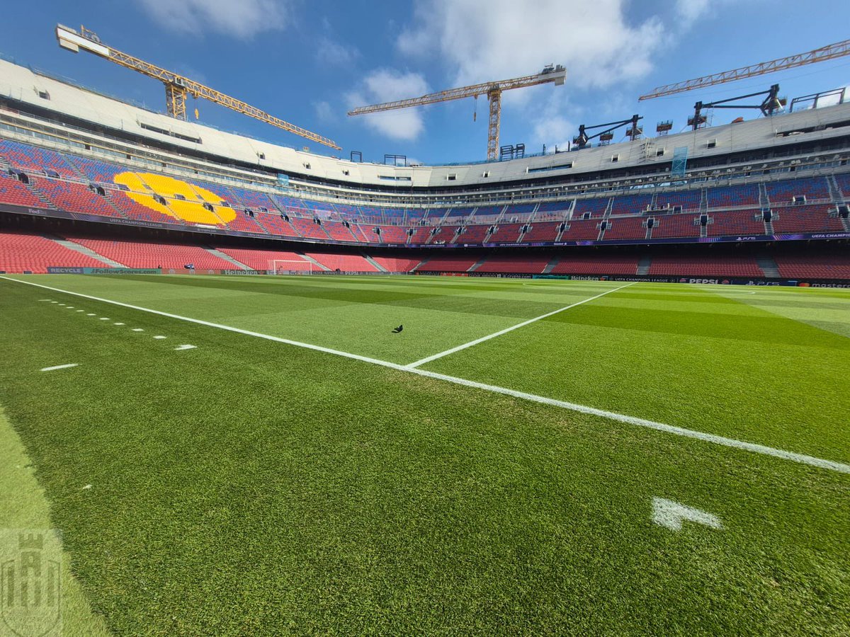 Newcastle United Supporters Trust tweet media