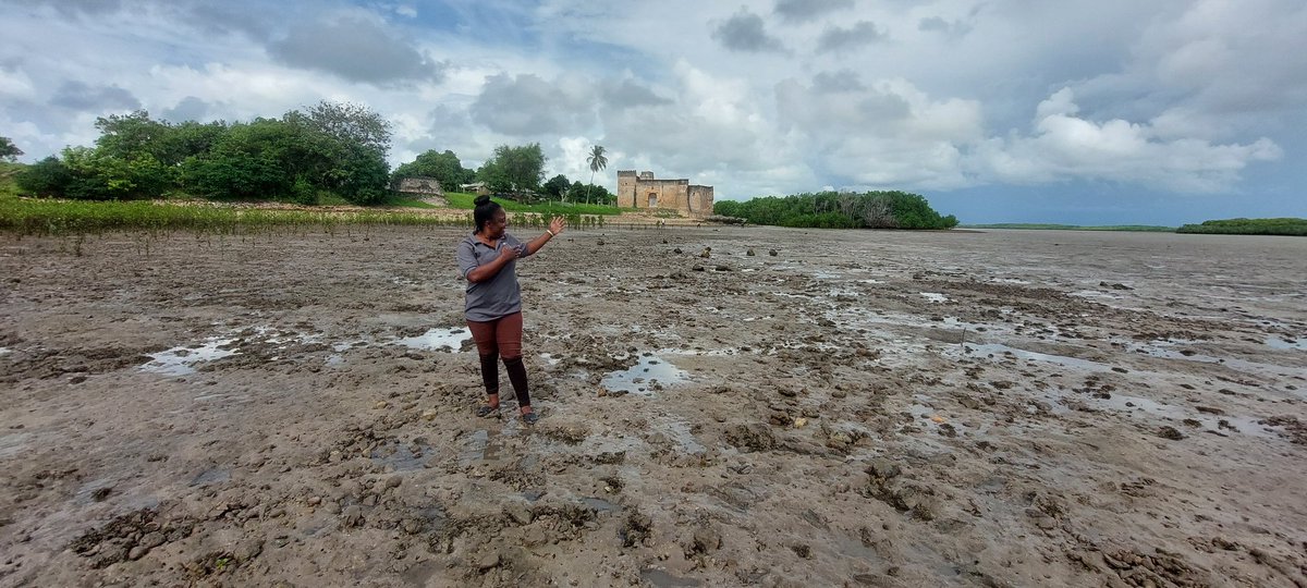 Mercy Exson tweet media