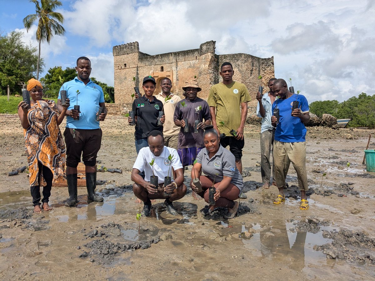 Mercy Exson tweet media