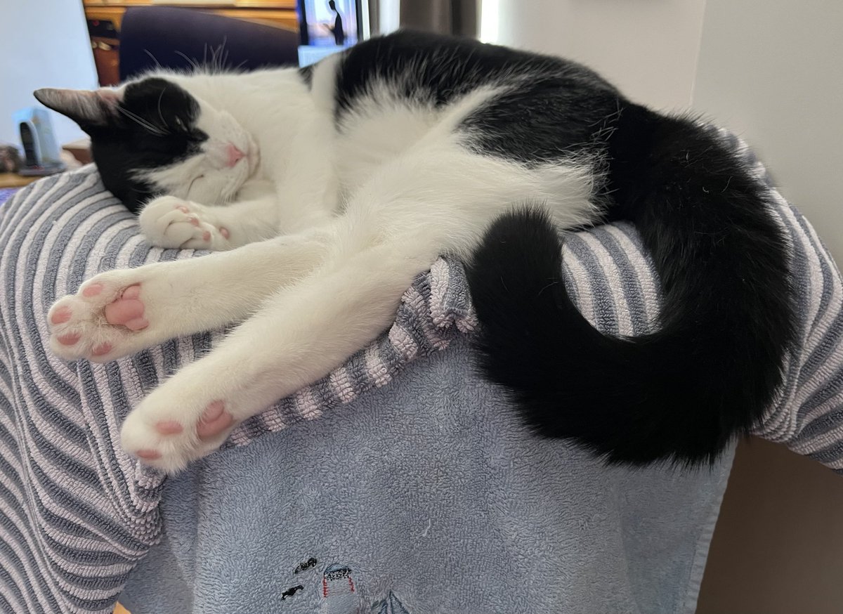 owen clark tweet media