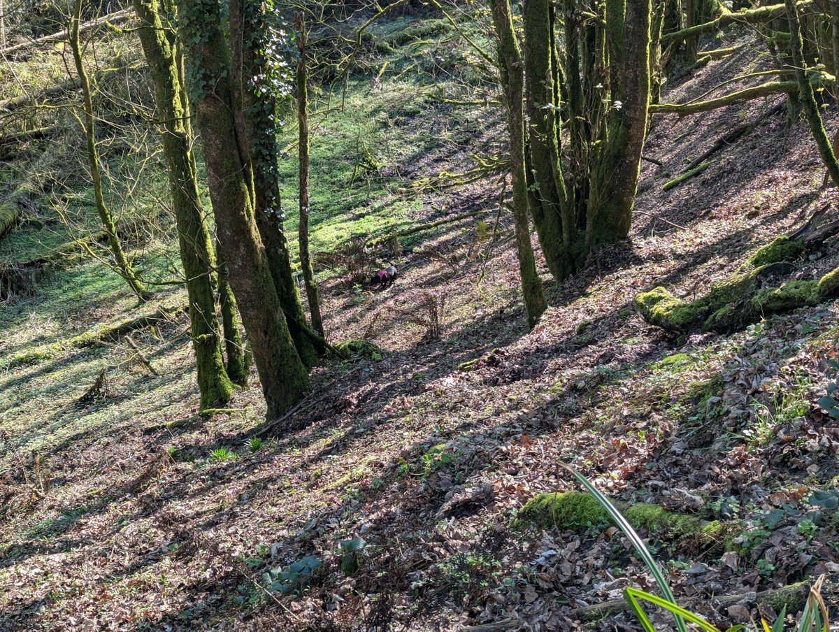 John McDonnell 🏴󠁧󠁢󠁥󠁮󠁧󠁿🇺🇦🇮🇱 tweet media