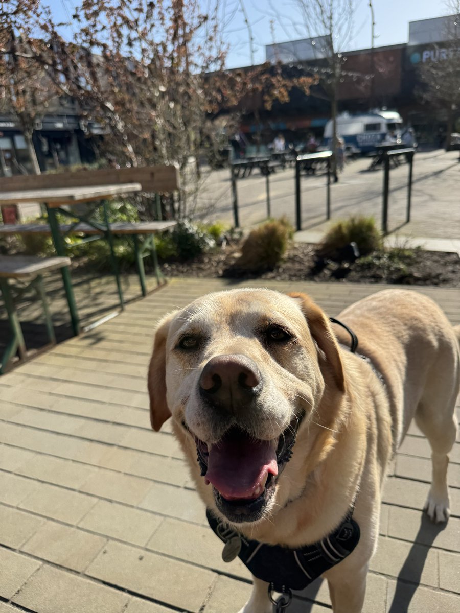 DashinDan 🏃‍♂️🚀💪 tweet media