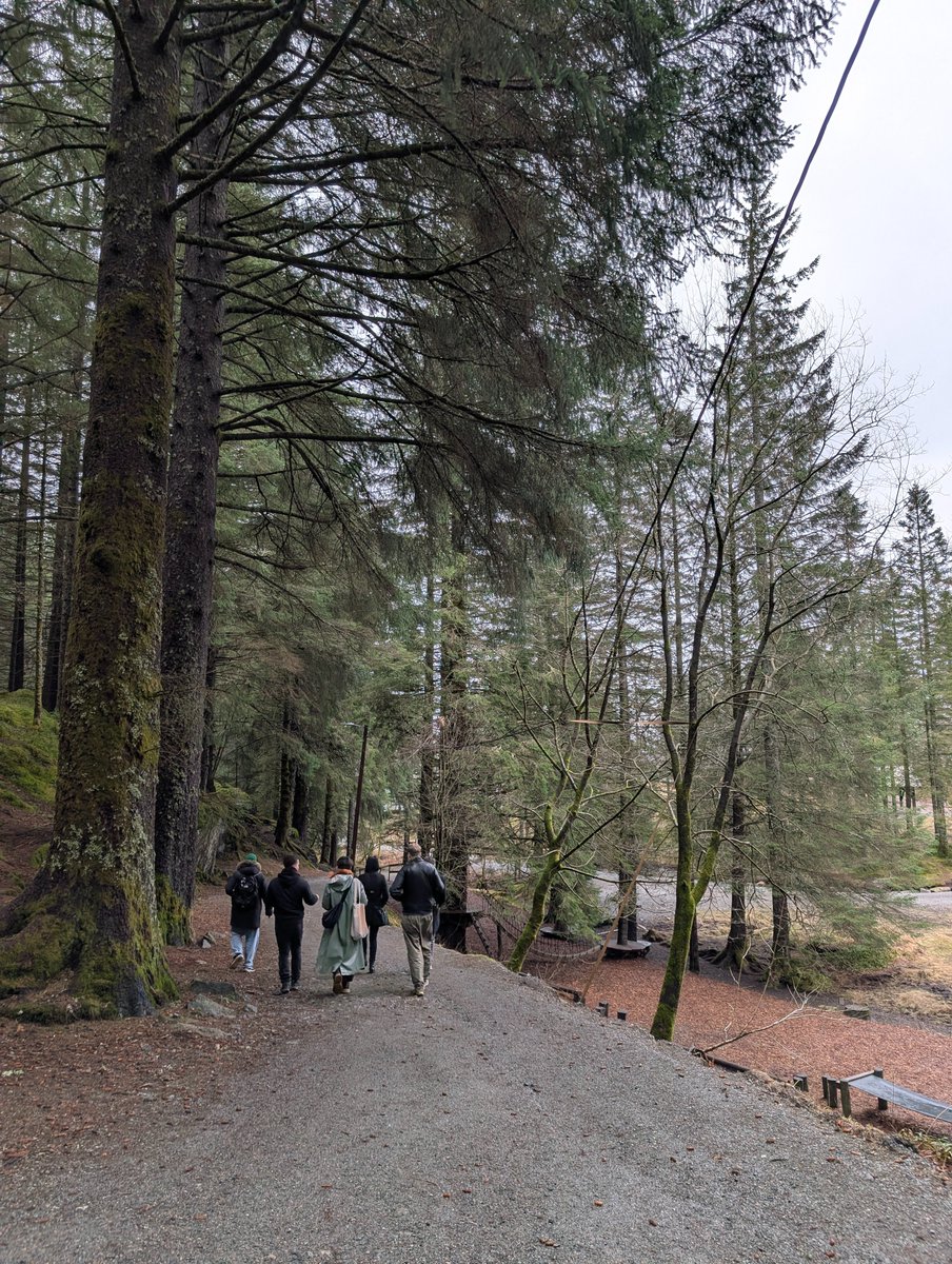 marat ingeldeev tweet media