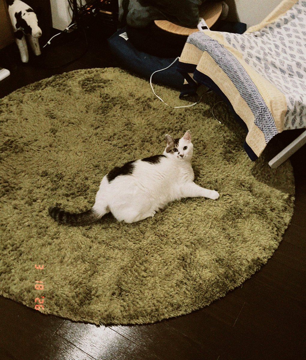 スズキアユミ｜4/11フォントさんぽステーション出展 tweet media