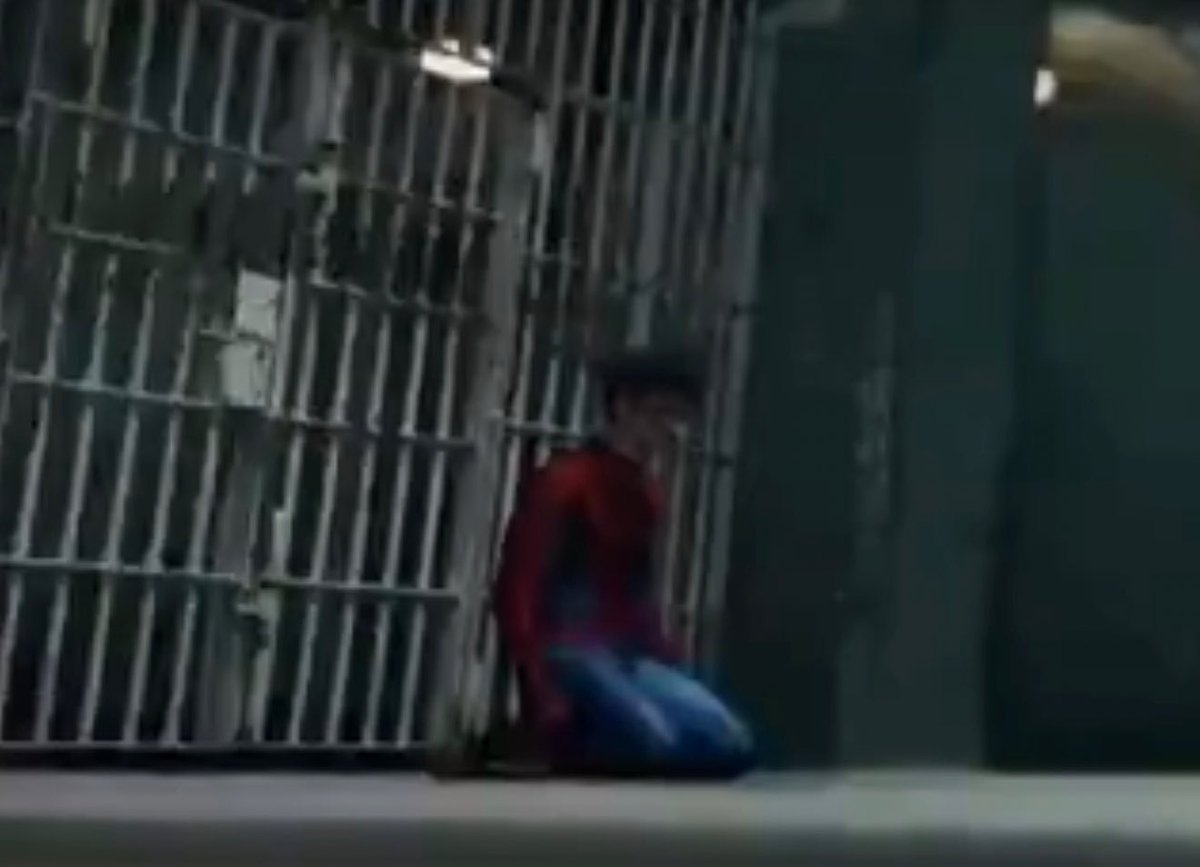 bullshit tweet media