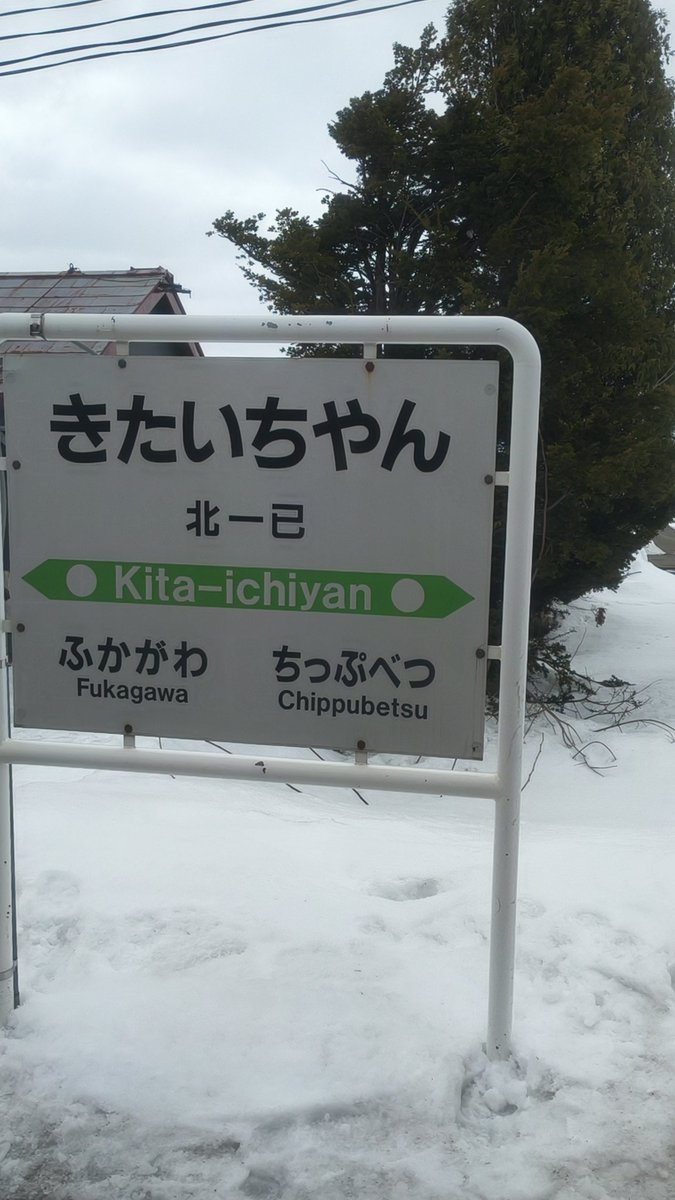 🏝もかちーの🦊 tweet media