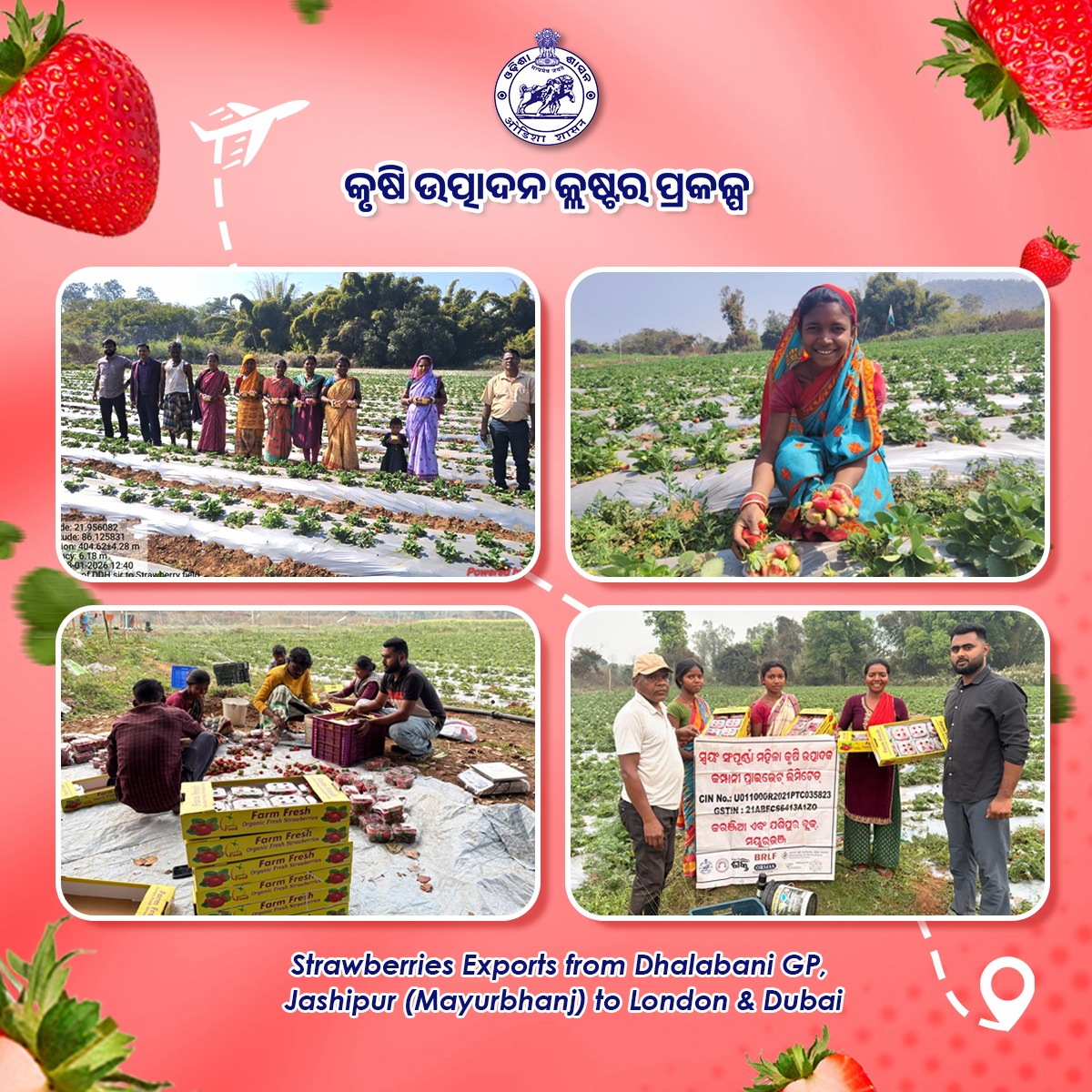 APC Program tweet media