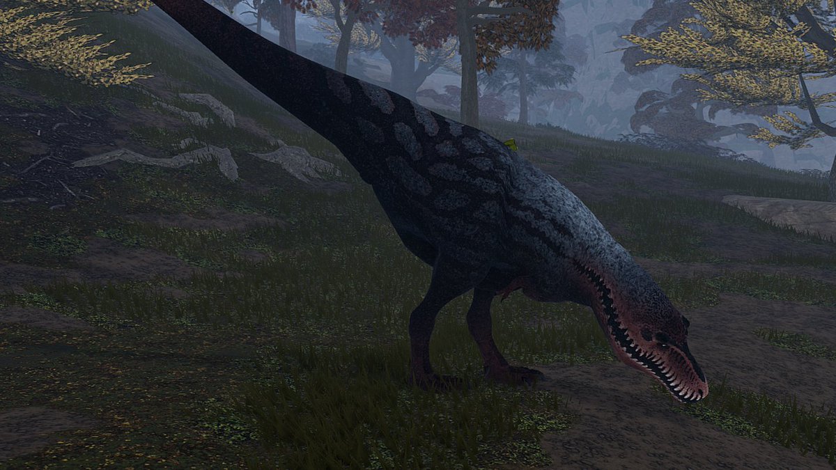 Howard roland tweet media