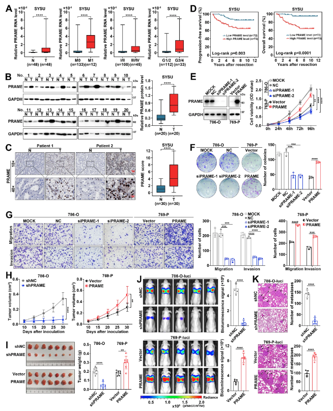 CDD press tweet media