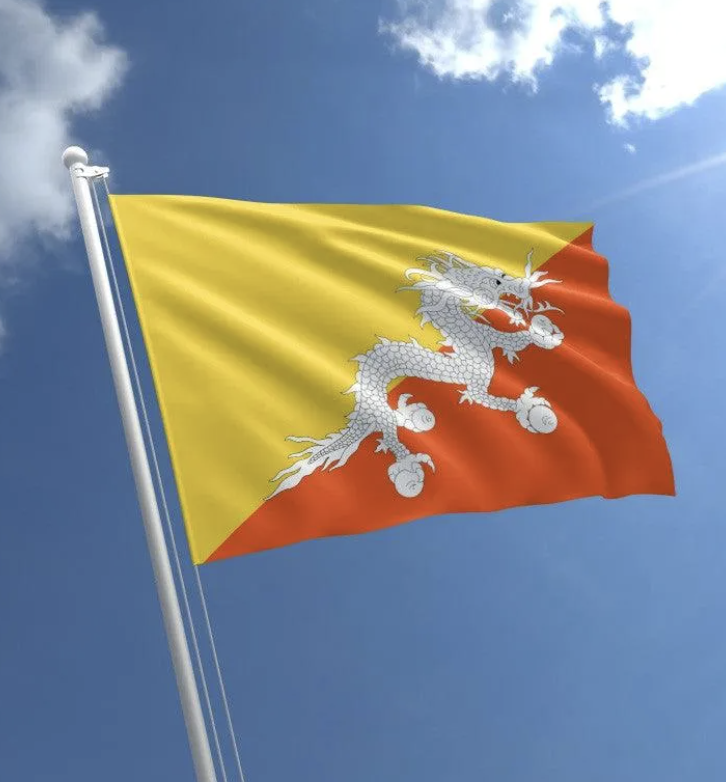 Bitinning tweet media